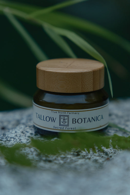 Tallow Botanica - Sacred Forest Whipped Tallow