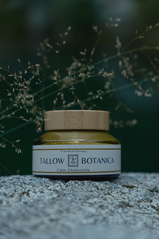 Tallow Botanica - Calm Chamomile Whipped Tallow