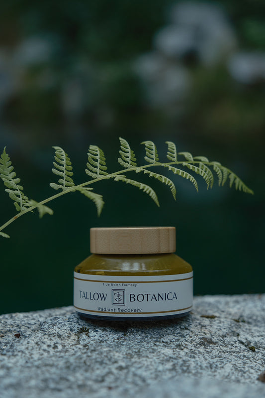 Jar of Tallow Botanica product on a stone surface with a fern leaf in the foreground