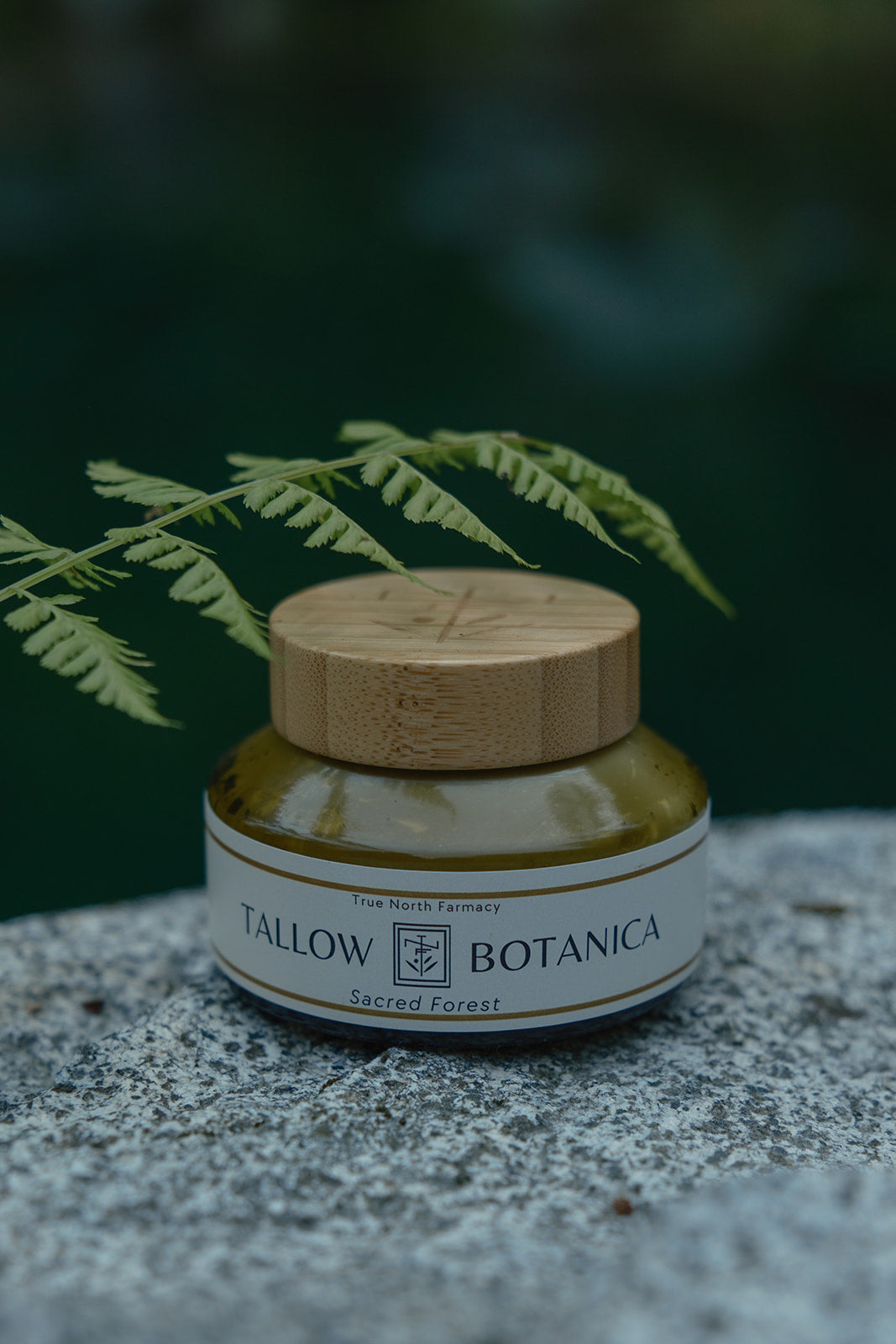 Tallow Botanica - Sacred Forest Whipped Tallow