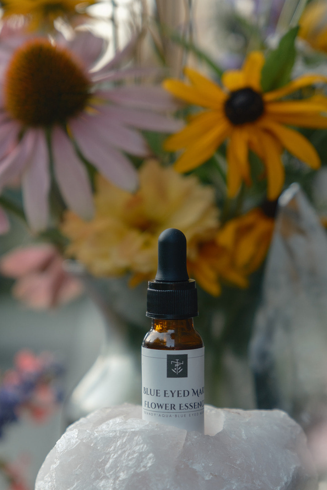 Blue Eyed Mary - Flower Essence