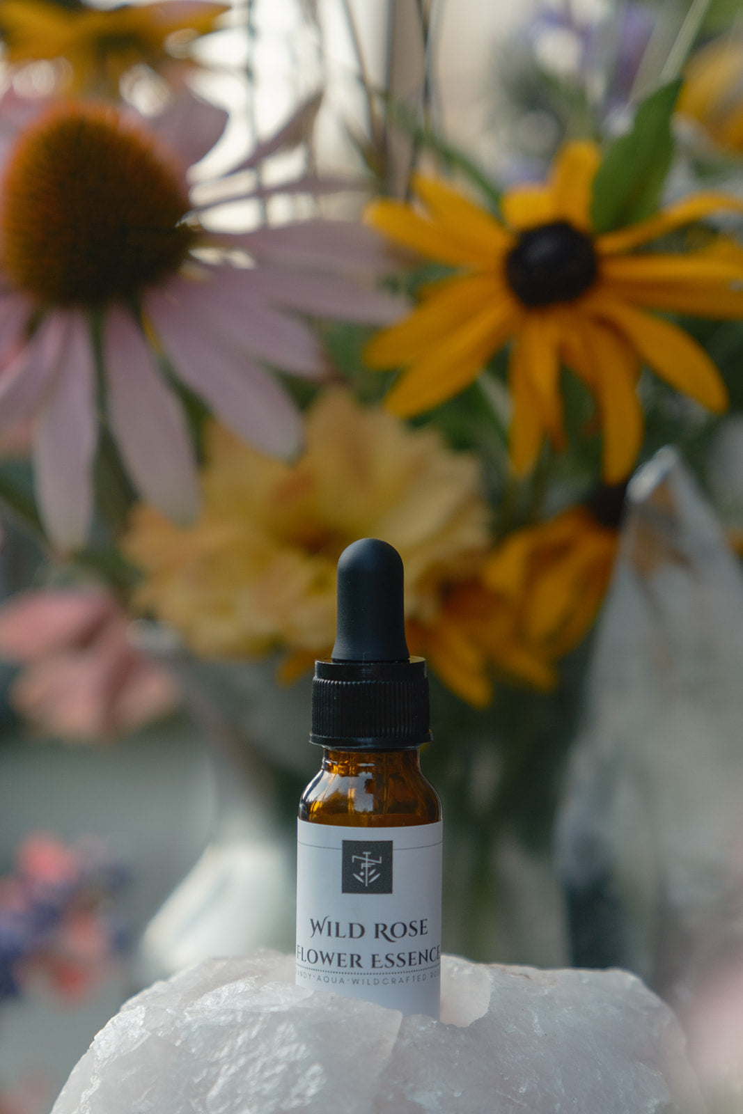 Wild Rose Flower Essence