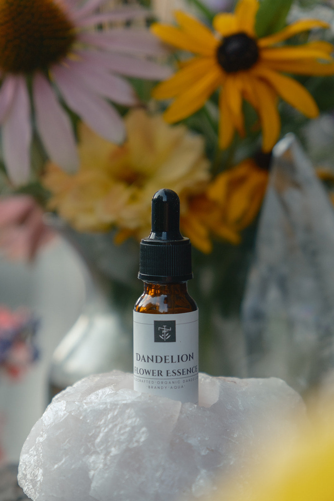 Dandelion - Flower Essence