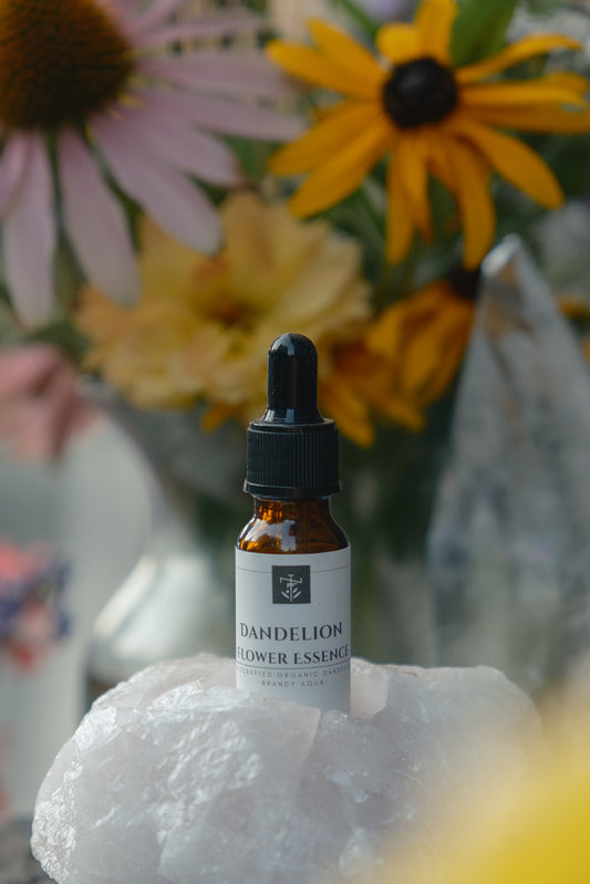 Dandelion - Flower Essence
