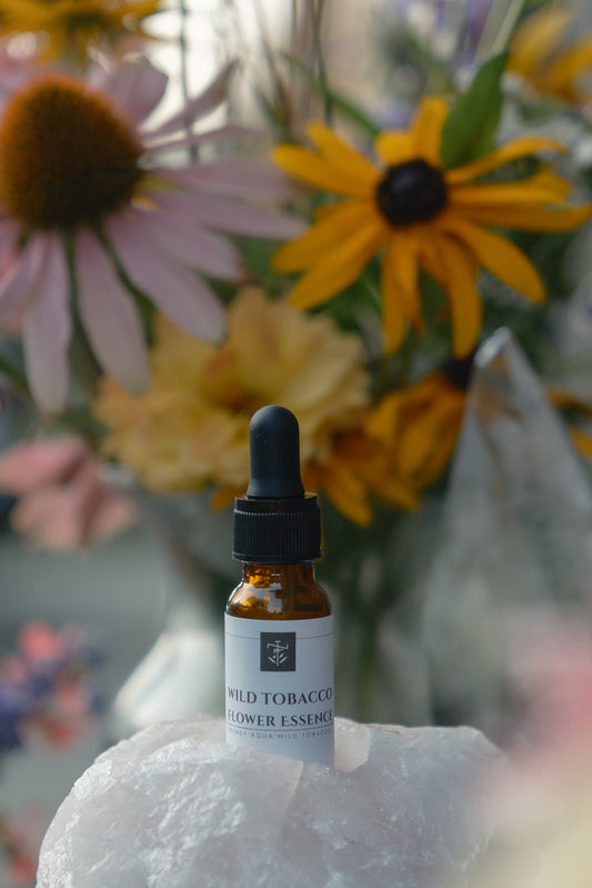 Wild Tobacco Flower Essence